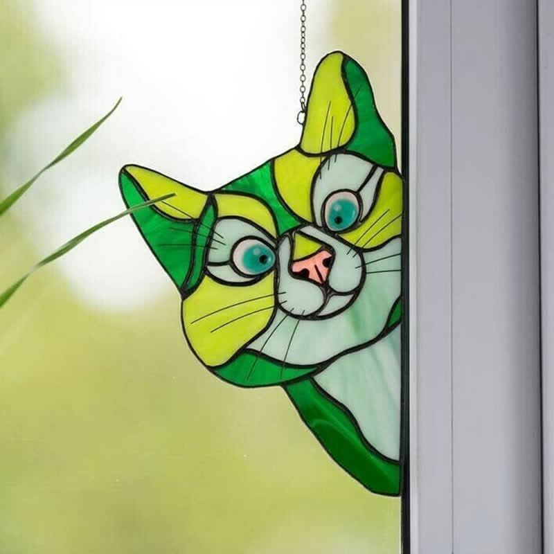 Spannender Katzen-Fensterfänger