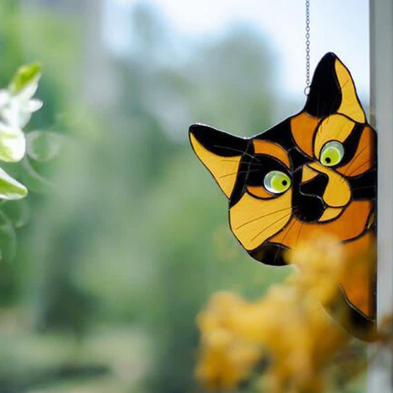 Spannender Katzen-Fensterfänger
