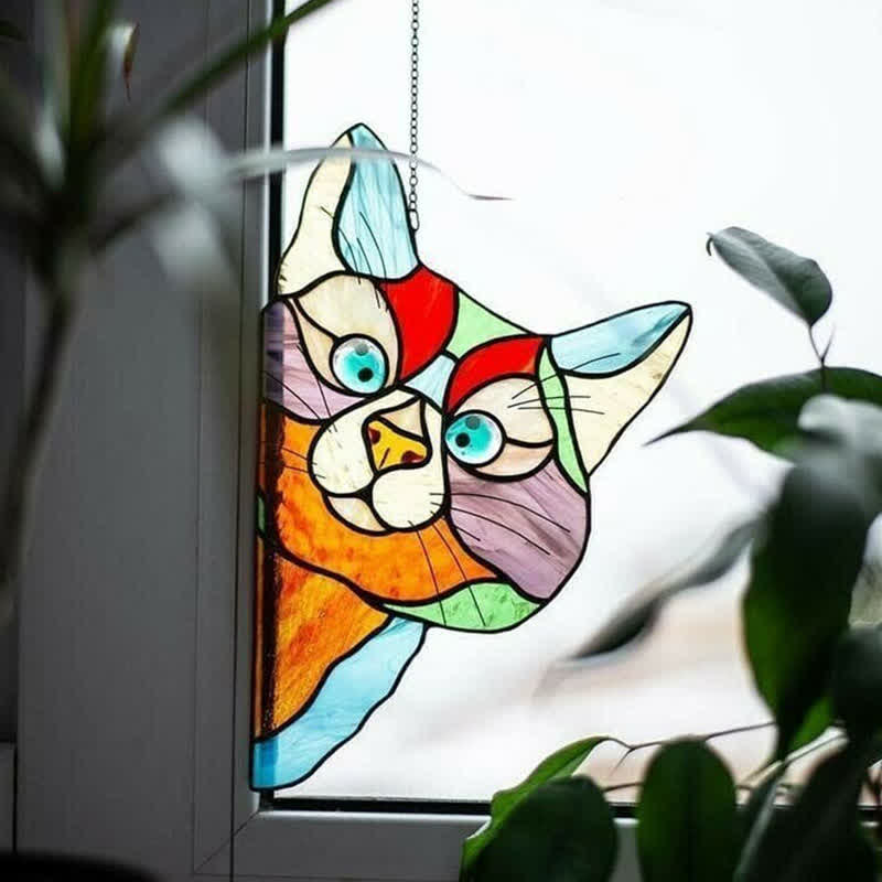 Spannender Katzen-Fensterfänger