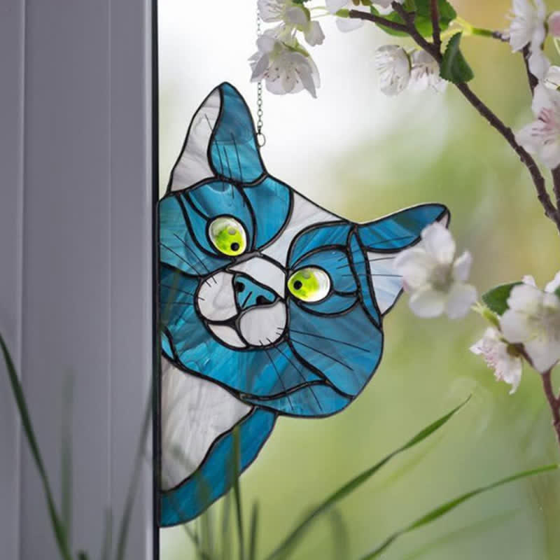 Spannender Katzen-Fensterfänger