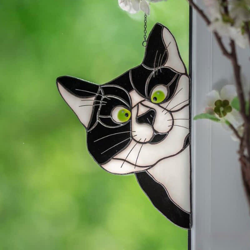 Spannender Katzen-Fensterfänger