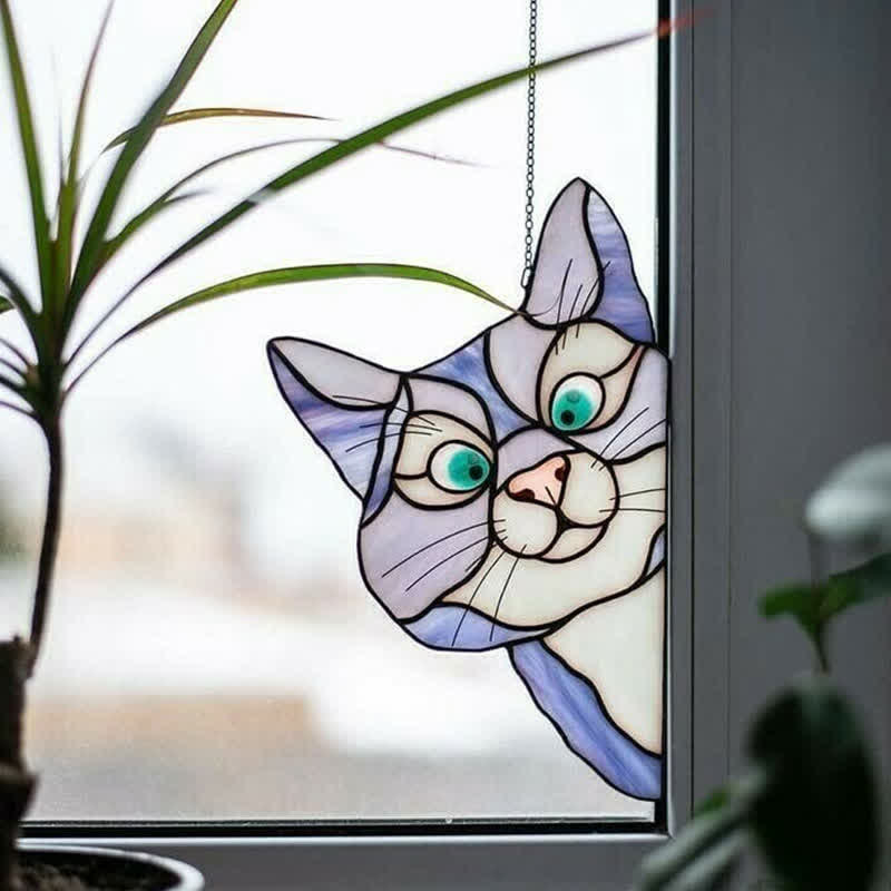 Spannender Katzen-Fensterfänger