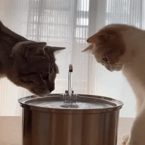 PetsBoro Stainless Cat Water Fountain