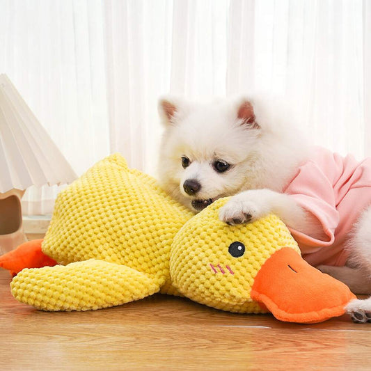 PetsBoro Calm Duck