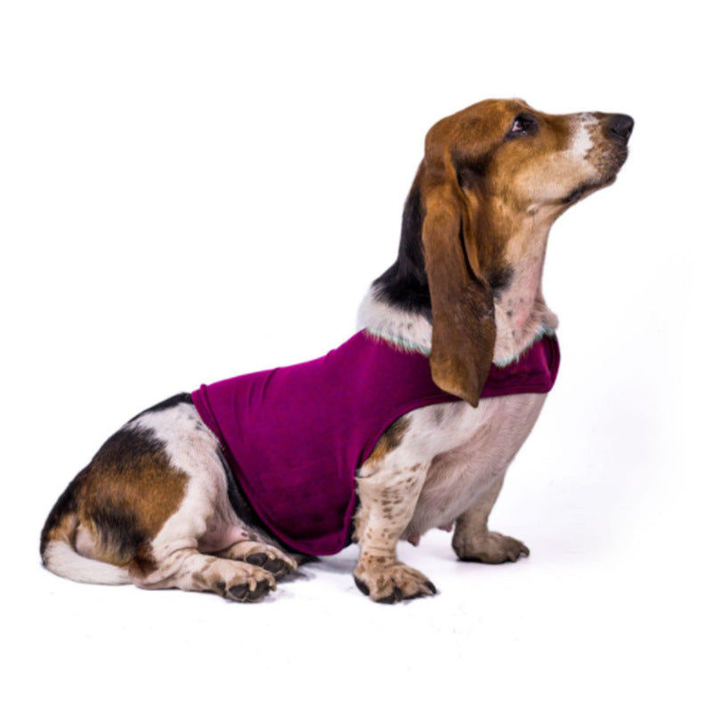 Veste anti-anxiété Keilini pour chien