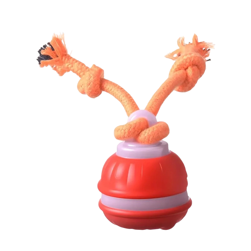Petlori HappyPaw Ball