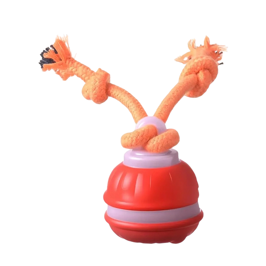 Petlori HappyPaw Ball