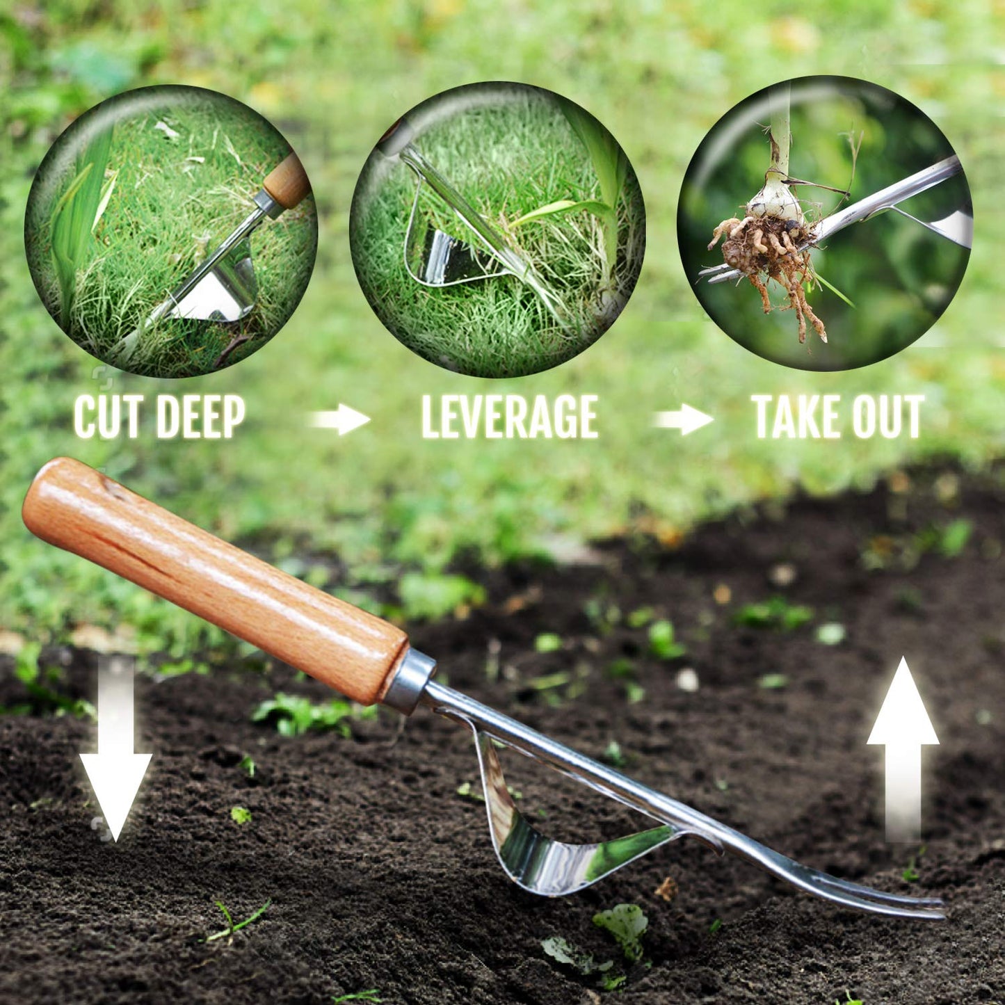 Sherem Stainless Steel Weed Remover