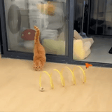 Joyhnny Pawspring Cat Tunnel
