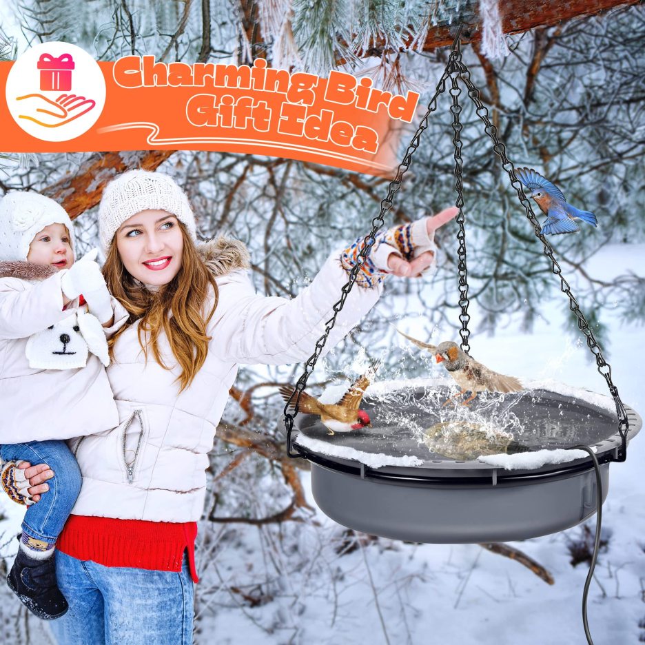 Upgrade Bird Bath Heater for Outdoors