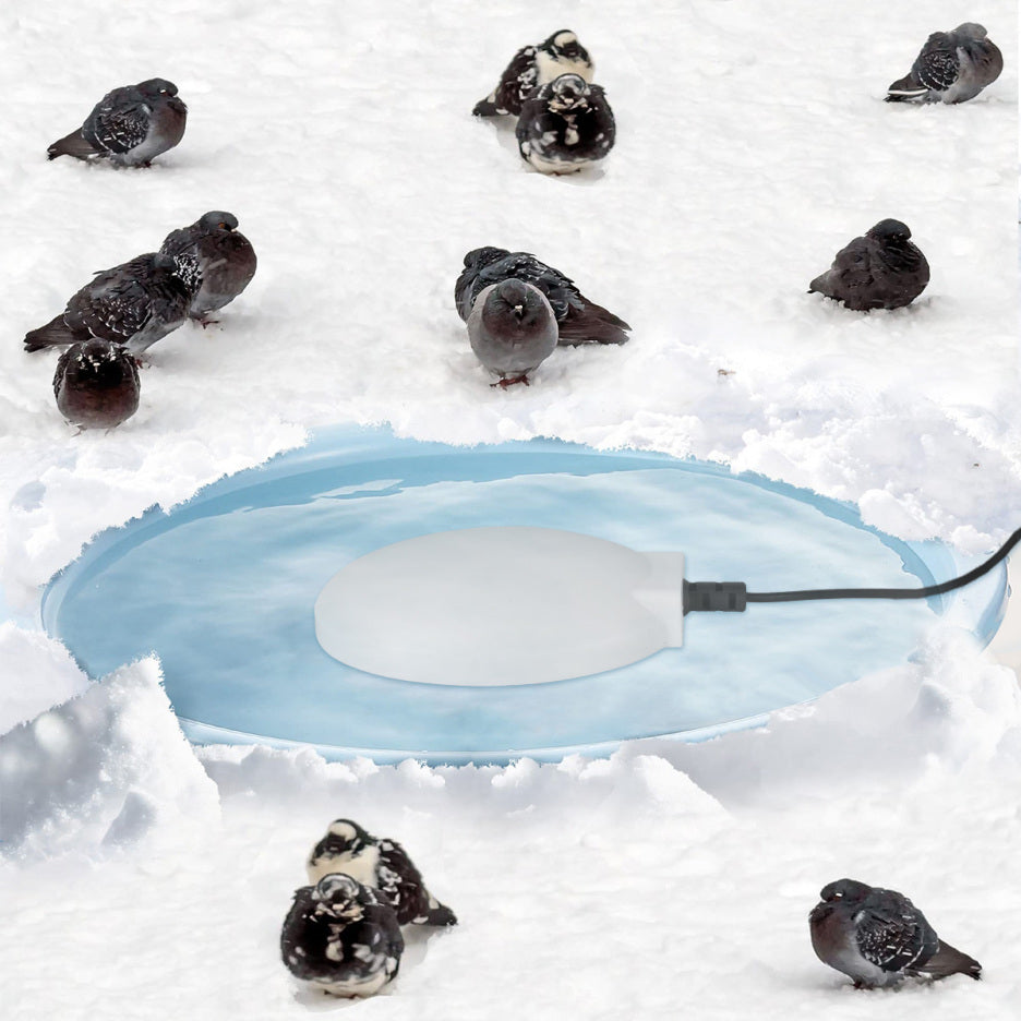 Upgrade Bird Bath Heater for Outdoors