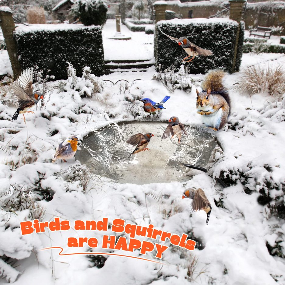 Upgrade Bird Bath Heater for Outdoors