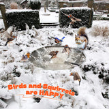 Upgrade Bird Bath Heater for Outdoors