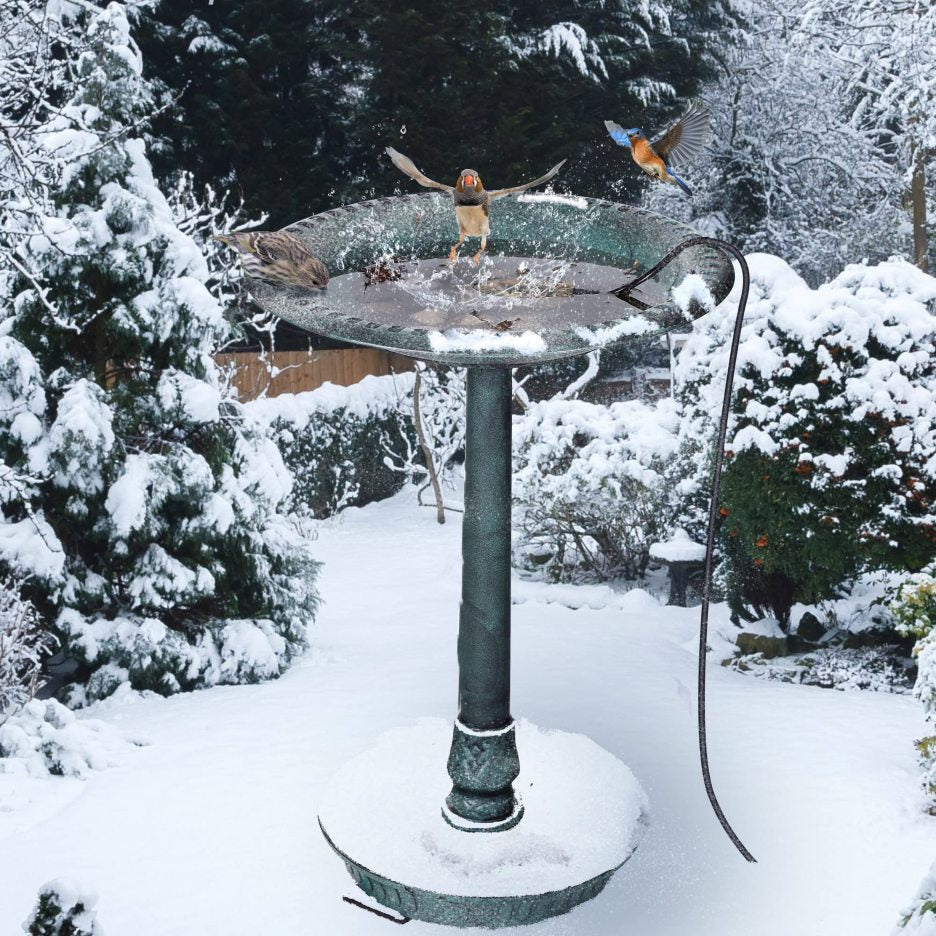 Upgrade Bird Bath Heater for Outdoors