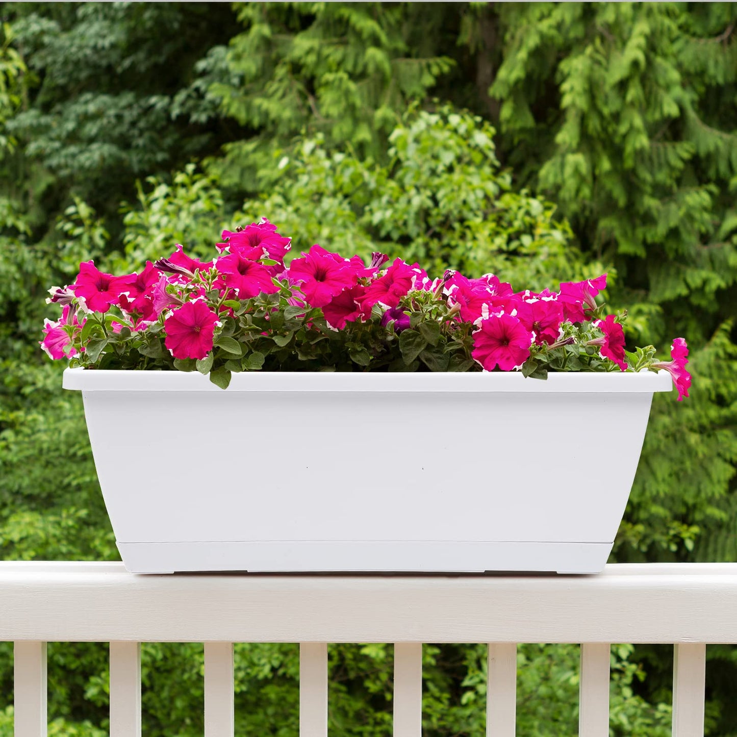 Rectangular Window Box Planter