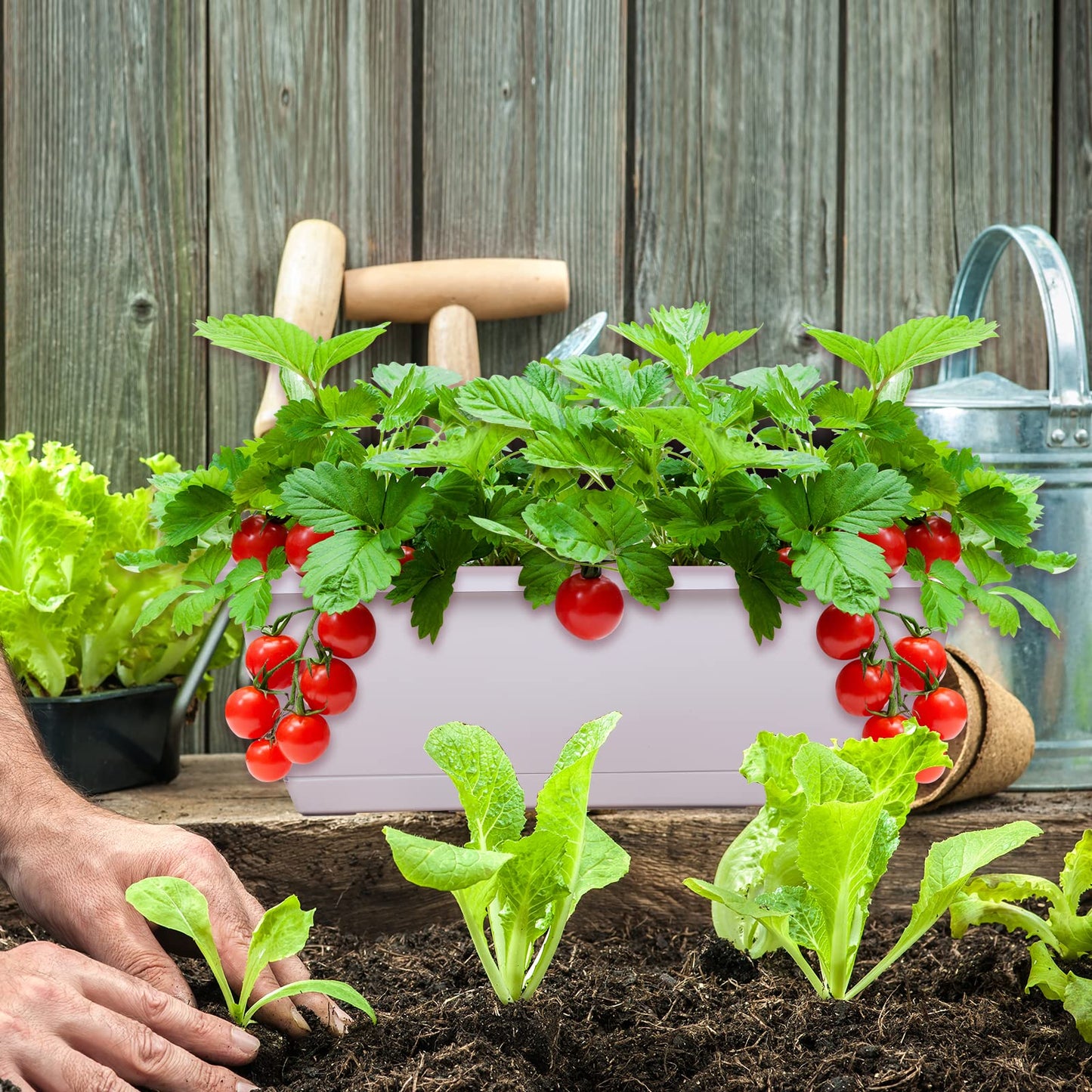 Rectangular Window Box Planter