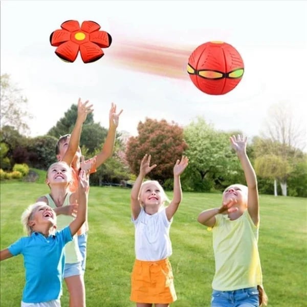 Pet Toy Flying Saucer Ball