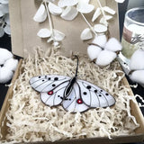 SheremArt Flutter Fly