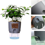 Self Watering Plant Pot