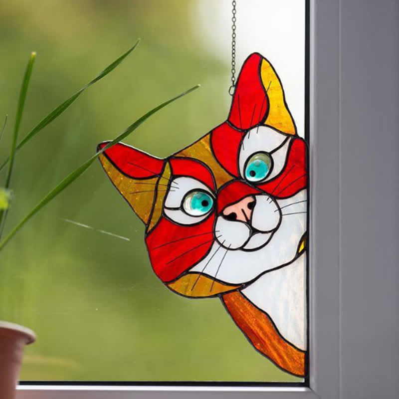Spannender Katzen-Fensterfänger