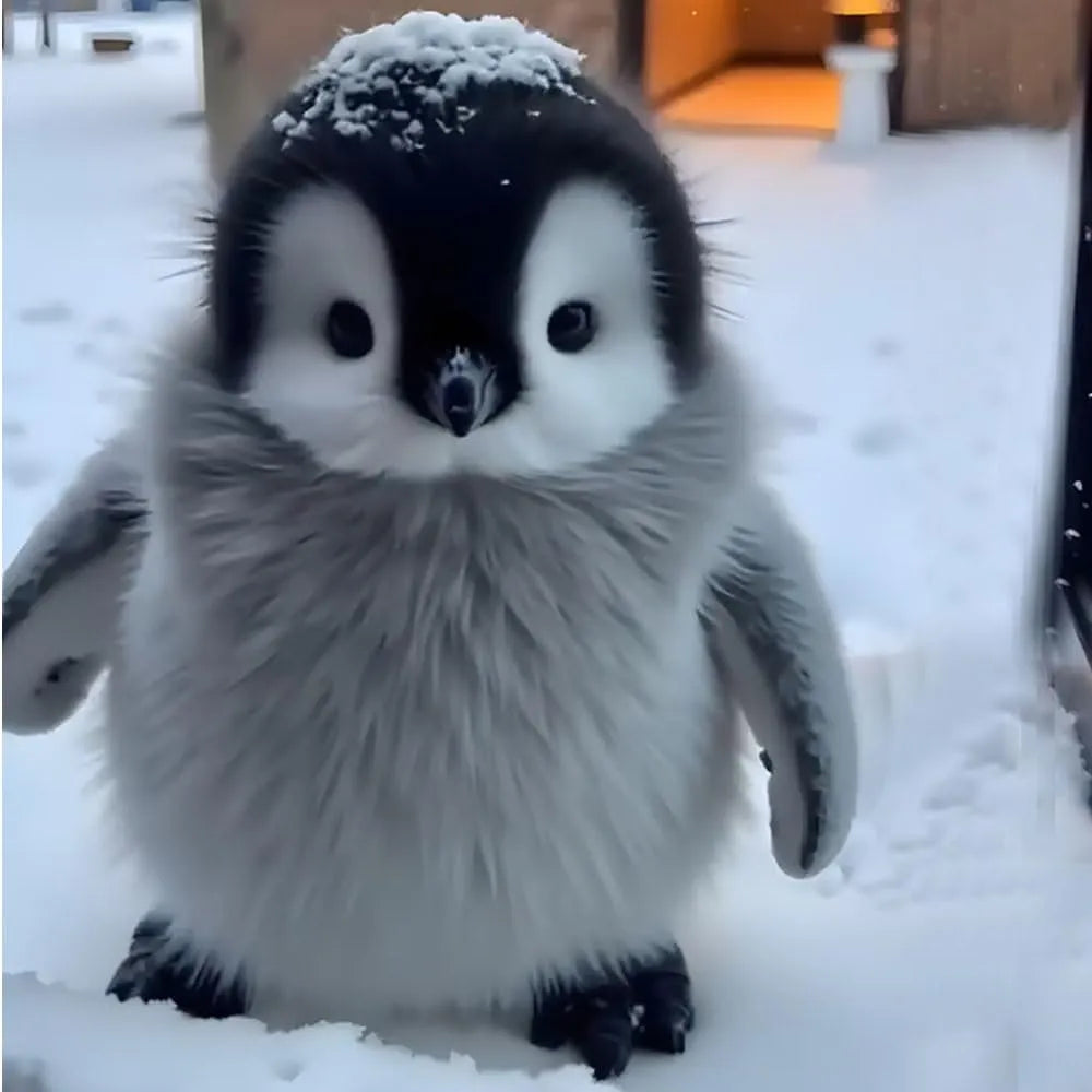 Miymo Snugguin