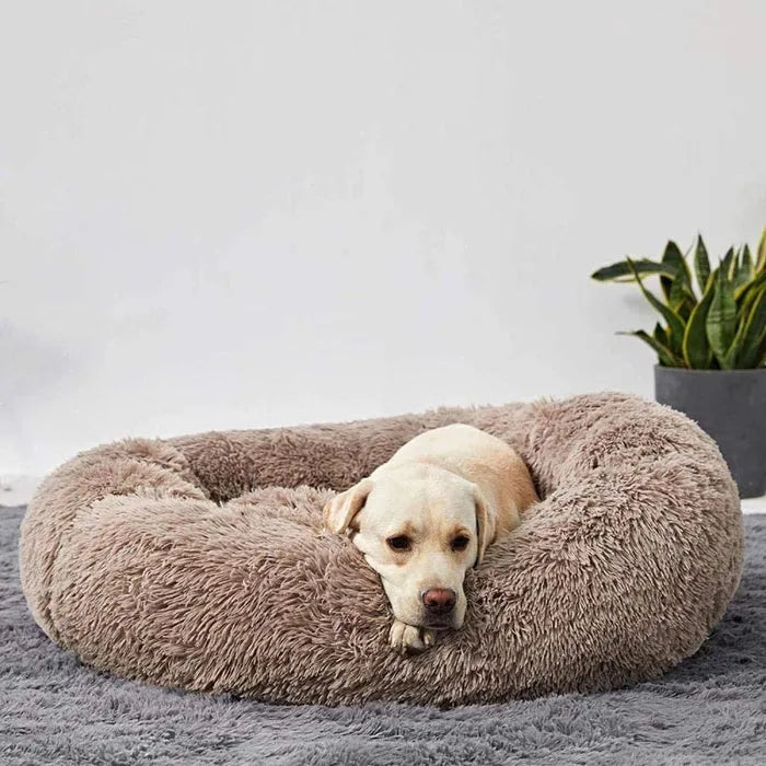 PetsBoro™ HugBed