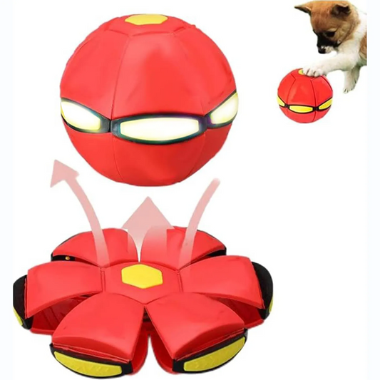 Petootsy Doggy Delight Frisbee #