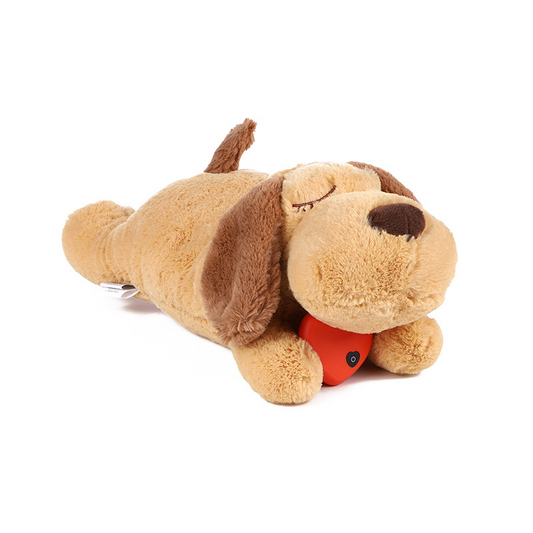 Miymo PupFirst