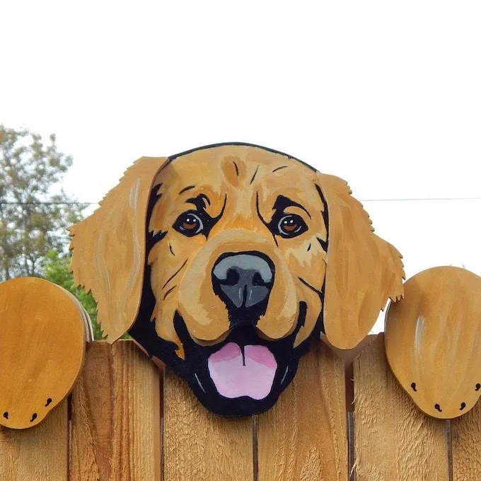 SheremArt™ Peekaboo Pals