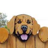 SheremArt™ Peekaboo Pals