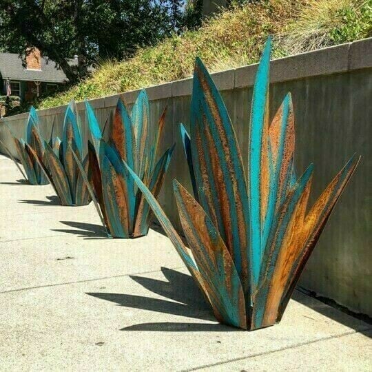 Sherem Metal Tequila Agave Plants
