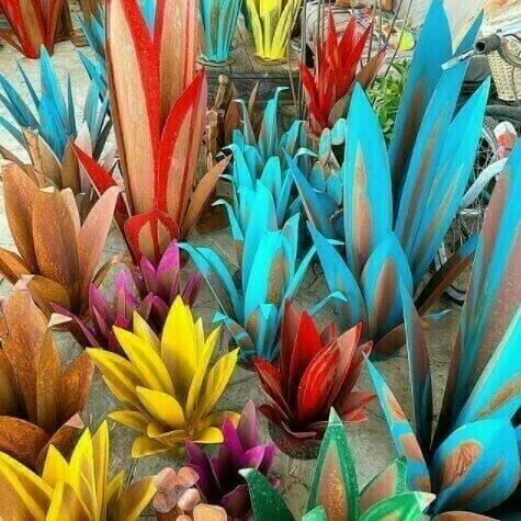 Sherem Metal Tequila Agave Plants