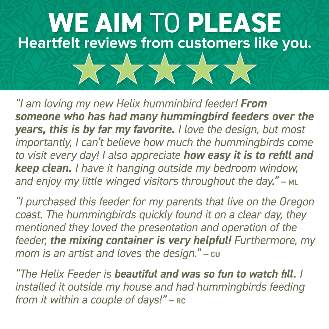 Sherem DNA Helix Hummingbird Feeder