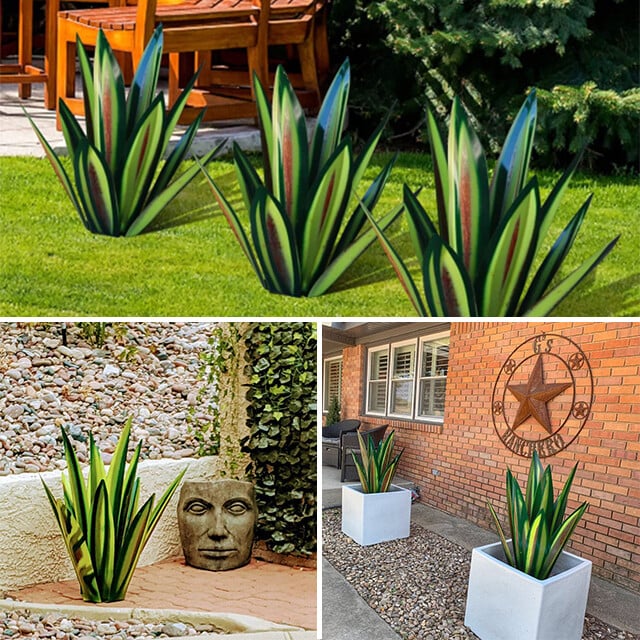 Sherem Metal Tequila Agave Plants